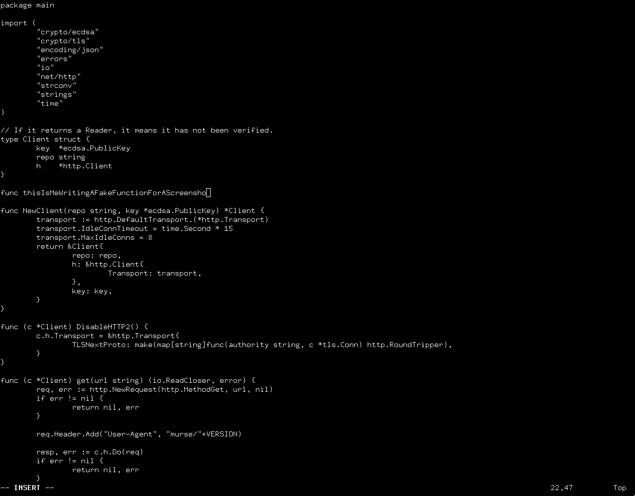 A screenshot of Zutty with Vim open on some Go code.